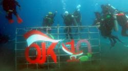 Dukung Ekonomi Hijau, OJK Tanam 1.000 Bibit Terumbu Karang di Pantai Malalayang