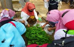 Hari Pangan Sedunia, Pemkot Pekalongan Bagikan Ratusan Bibit Cabai Gratis ke Masyarakat