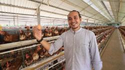 Wow, Petani Milenial di Lombok Ini Hasilkan Omzet Miliaran Hanya dari Telur