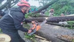 Hujan Deras Disertai Angin Kencang Landa Sukabumi, 1 Rumah Rusak 2 pohon Tumbang<