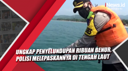 Video Ungkap Penyelundupan Ribuan Benur, Polisi Melepaskannya di Tengah Laut