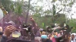 Ratusan Burung Dilepas saat Acara Sedekah Sawah di Banjarnegara  