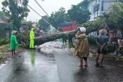 Pohon Tumbang Timpa Rumah Warga di Kebumen, Satu Pengendara Motor Terluka
