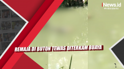 Video Remaja di Buton Tewas Diterkam Buaya
