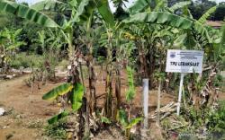 Korupsi Lahan TPU Lebaksaat Dinilai Coreng Citra Pemkot Cimahi