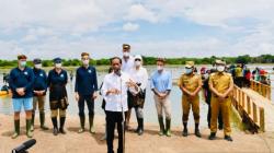 Kunjungi Kaltara, Jokowi Targetkan Rehabilitasi 600.000 Hektare Hutan Mangrove