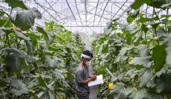 Ekspor Meningkat, Ternyata Milenial Salah Satu Penggeraknya