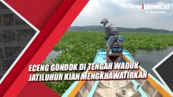 Video Eceng Gondok di Tengah Waduk Jatiluhur Kian Mengkhawatirkan