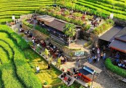 3 Tempat Wisata Kuliner di Kulonprogo yang Lagi Viral di 2025, Sajikan Rasa Tradisional dan Pemandangan Alam!