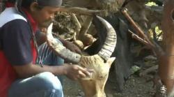 Pemuda di Grobogan Ini Sulap Limbah Akar Jadi Kerajinan Seni Bernilai Tinggi 