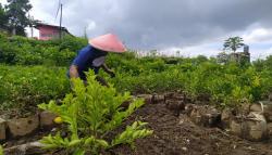 Ribuan Bibit Tanaman Buah Tersapu Banjir, Petani di Lembang KBB Rugi Puluhan Juta<