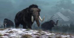 Bukan Perburuan, Kepunahan Mammoth Berbulu Disebabkan Perubahan Iklim