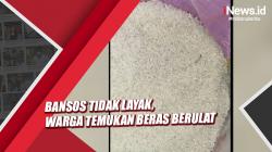Bansos Tak Layak, Warga Luwu Timur Temukan Beras Berulat