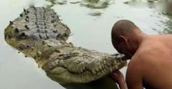 Unik, Buaya Vegetarian Tinggal di Kuil Hanya Makan Nasi 2 Kali Sehari