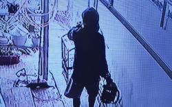 Pria Bermasker Terekam CCTV Maling Burung dan Mesin Pemotong Kayu