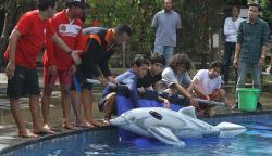 Latihan Teknik Penyelamatan Mamalia Laut Terdampar