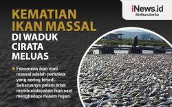 Kematian Ikan Massal di Waduk Cirata Meluas ke Purwakarta dan KBB