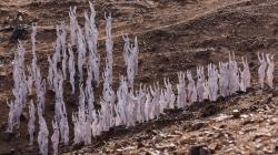 300 Orang Telanjang Bareng untuk Pemotretan di Laut Mati Israel<