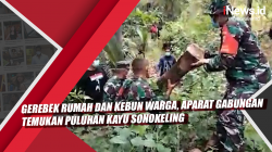 Video Gerebek Rumah dan Kebun Warga, Aparat Gabungan Temukan Puluhan Kayu Sonokeling