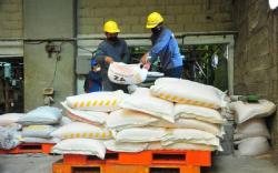 Erick Thohir Minta BUMN Pupuk Garap Pasar Komersil karena Masih Dikuasai Asing 