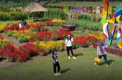 5 Tempat Jogging di Tabanan Bali, Nomor 3 Paling Asyik dengan Pemandangan Sawah