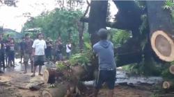 Pohon Tumbang Timpa Pengendara Motor di Gowa, 1 Tewas 2 Luka-Luka