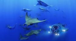 Perusahaan Belanda Luncurkan Mobil Kapal Selam Bisa Berenang hingga Kedalaman 305 Meter