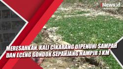 Video Meresahkan, Kali Cikarang Dipenuhi Sampah dan Eceng Gondok Sepanjang Hampir 1 Km