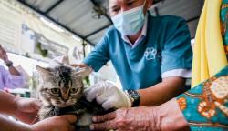 Masyarakat Mulai Peduli Vaksin Rabies Hewan Peliharaan