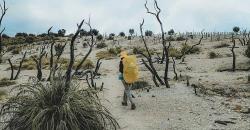 Ide Liburan di Garut, Asyik Jelajahi Hutan Mati hingga Situ Bagendit yang Eksotis<