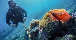 Sandiaga Uno Menjelajahi Bawah Laut Terbaik di Dunia Sawandarek, Ini yang Ditemukan!