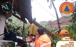 Hujan Deras Sebabkan Longsor dan Pohon Tumbang di Kabupaten Bogor, Satu Rumah Rusak<