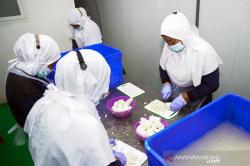 Wow, Singkong Beku Indonesia Jadi Cemilan Premium di Eropa dan AS