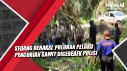 Video Puluhan Pelaku Pencurian Sawit di Palembang Digerebek Polisi saat Beraksi