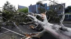 Angin Topan Terjang Melbourne, Listrik Ratusan Ribu Rumah Padam 