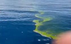 Penampakan Tumpahan Minyak di Laut Bali Lokasi Tenggelamnya KM Liberty