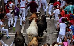Diseruduk Banteng Ngamuk, Pria Paruh Baya Tewas Kehabisan Darah