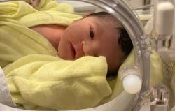 Selamat! Ali Syakieb dan Margin Wieheerm Umumkan Kelahiran Anak Pertama