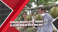 Sensasi Wisata Petik Durian di Kedai Makan Kota Malang