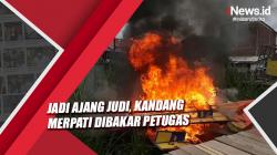 Jadi Ajang Judi, Kandang Merpati di Tambaksari Surabaya Dibakar Petugas