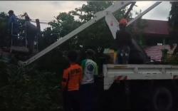 Pohon Tumbang, Jalinteng Muara Enim - Prabumulih Macet Total <