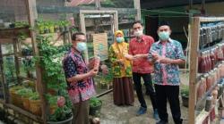 Sekolah di Rembang Ini Kembangkan Pupuk Organik Cair untuk Suburkan Tanaman 