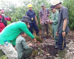 Detik-Detik Bocah di Inhil Tewas Dimangsa Harimau, Terdengar Suara Jeritan