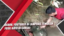 Video Youtuber di Lampung Temukan Fosil Kayu di Sungai