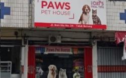 10 Pet Shop Terdekat di Bandar Lampung, Nomor 6 Bisa Bantu Kawinkan Hewan Peliharaan