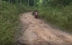 Jalan Penghubung Kecamatan di Ogan Ilir Rusak Parah, Warga Harap Pemda Peduli <