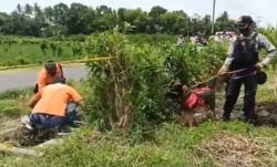 Mayat di Pematang Sawah Jember Diduga Dibunuh, Polisi Cari Bukti Baru <