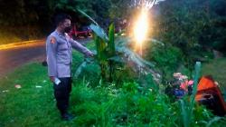 Truk Pengangkut Tonsil Masuk Jurang di Jampangtengah Sukabumi, Sopir Terluka