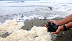 Pantai Ulee Lheu Banda Aceh Tercemar Batu Bara