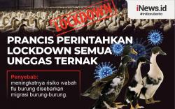 Infografis Prancis Lockdown Semua Unggas Ternak